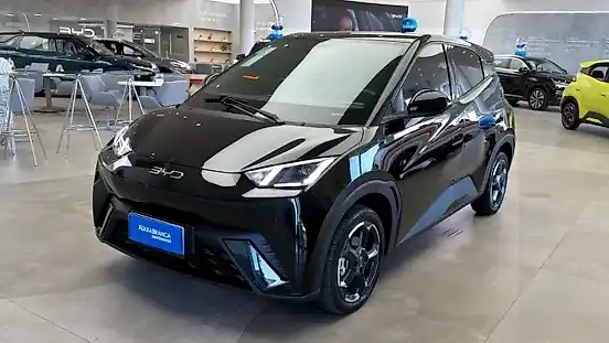 Foto de um byd dolphin mini
