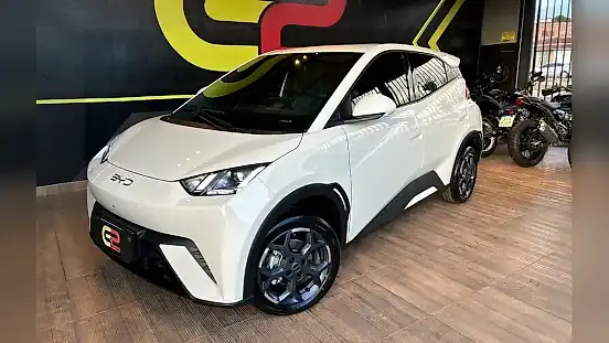 Foto de um byd dolphin