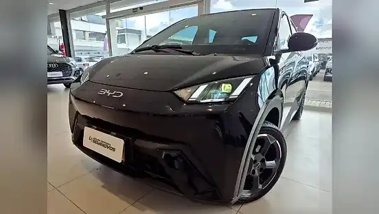 Foto de um byd dolphin mini