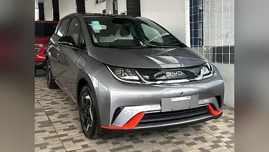 Foto de um byd dolphin