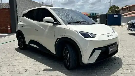 Foto de um byd dolphin mini
