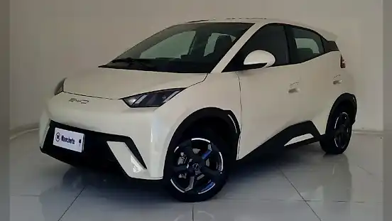Foto de um byd dolphin