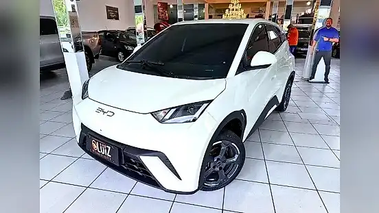 Foto de um byd dolphin mini