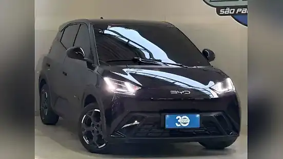 Foto de um byd dolphin mini
