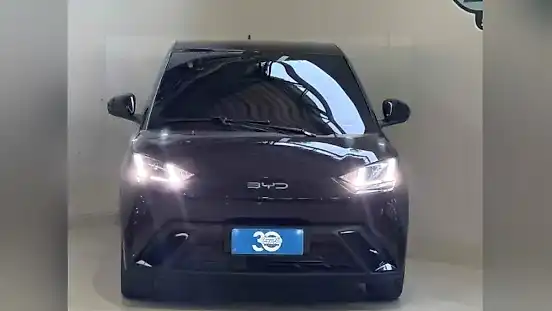 Foto de um byd dolphin mini