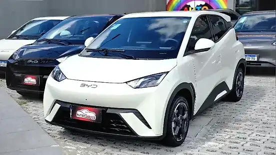 Foto de um byd dolphin mini
