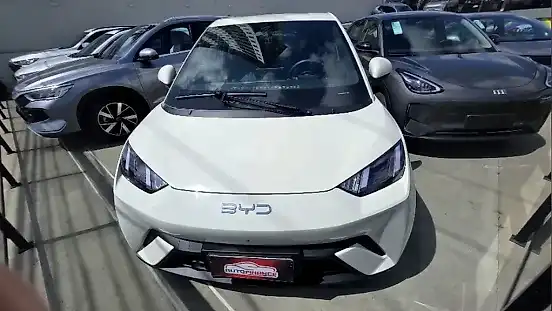Foto de um byd dolphin mini