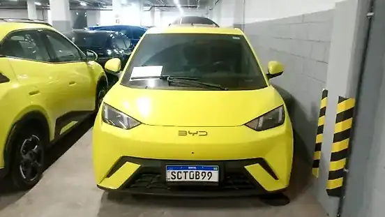Foto de um byd dolphin mini