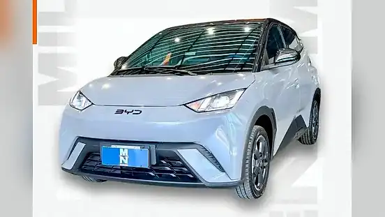 Foto de um byd dolphin mini