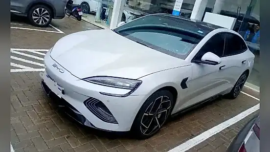Foto de um byd seal