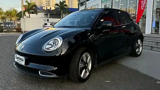 Foto de um gwm ora 03
