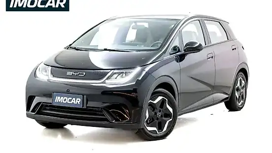 Foto de um byd dolphin