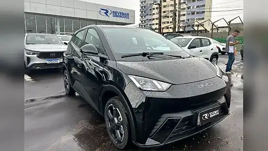 Foto de um byd dolphin mini
