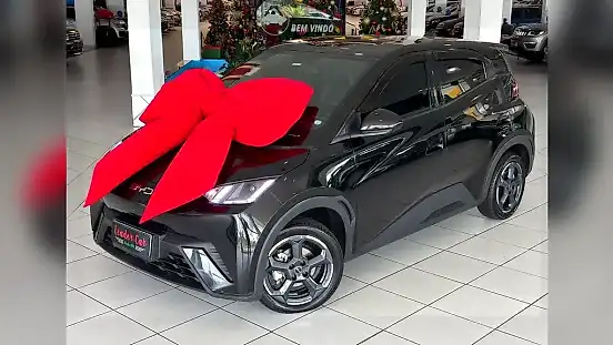 Foto de um byd dolphin mini