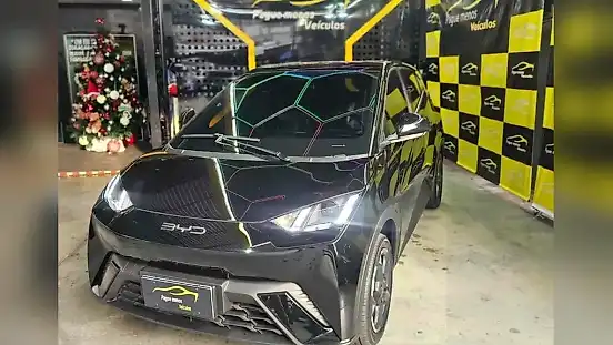 Foto de um byd dolphin mini
