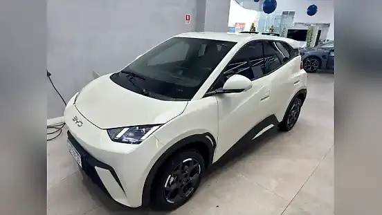 Foto de um byd dolphin mini