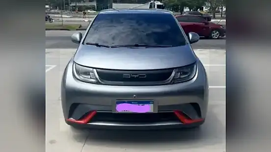Foto de um byd dolphin