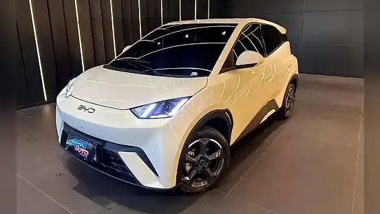 Foto de um byd dolphin mini