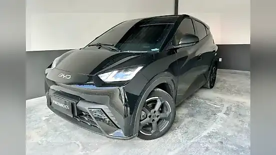 Foto de um byd dolphin mini