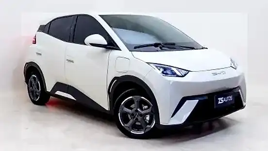 Foto de um byd dolphin mini