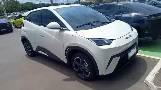 Foto de um byd dolphin mini