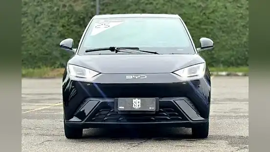 Foto de um byd dolphin mini