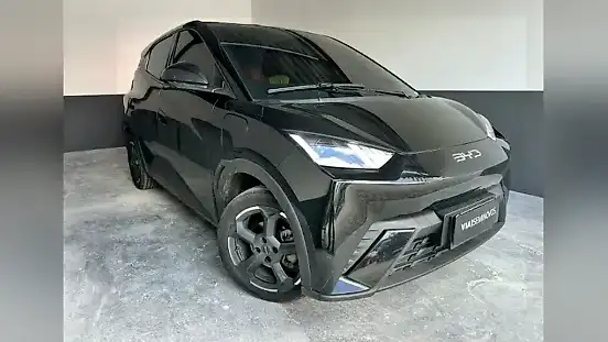 Foto de um byd dolphin mini