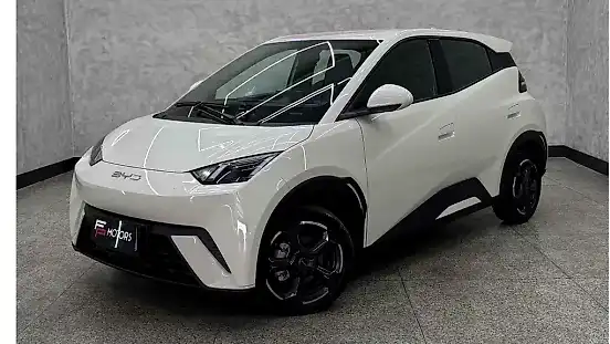 Foto de um byd dolphin