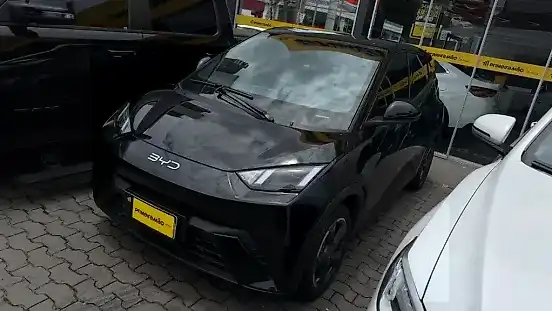 Foto de um byd dolphin mini
