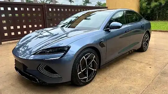 Foto de um byd seal