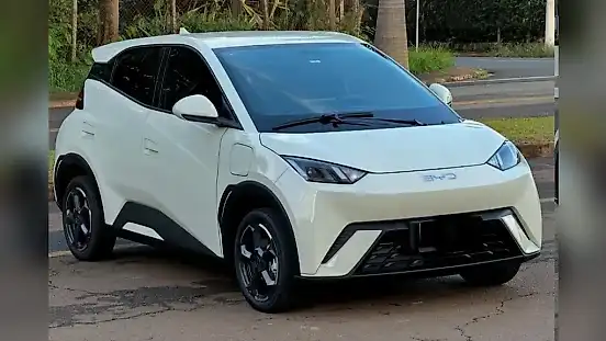 Foto de um byd dolphin mini