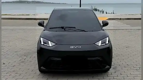 Foto de um byd dolphin mini