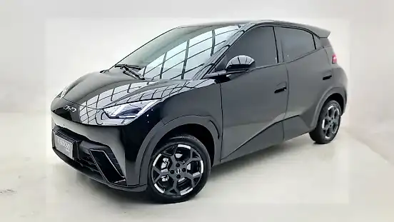 Foto de um byd dolphin mini