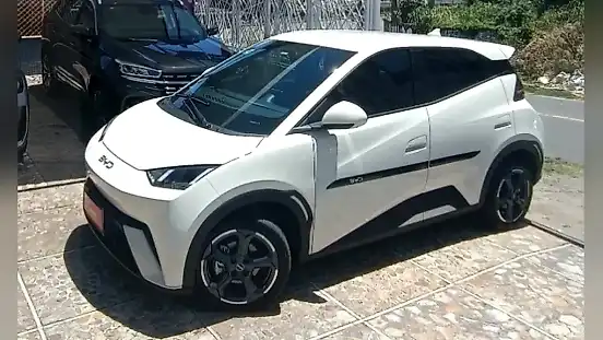 Foto de um byd dolphin mini