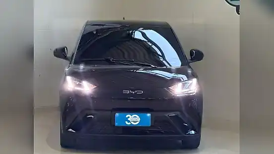 Foto de um byd dolphin mini