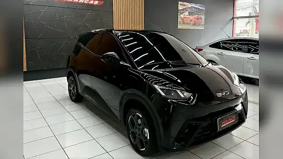 Foto de um byd dolphin mini