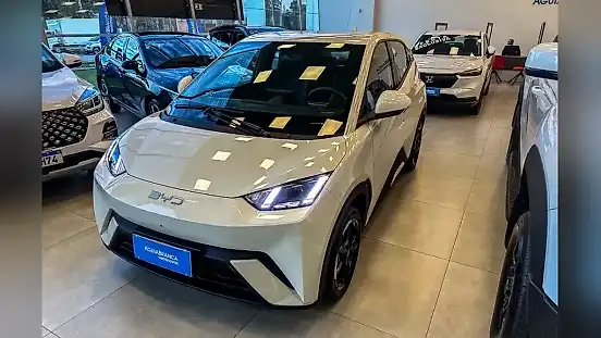 Foto de um byd dolphin mini