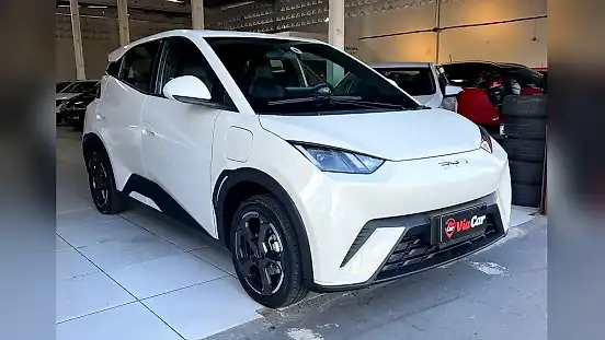 Foto de um byd dolphin mini