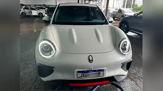 Foto de um gwm ora 03