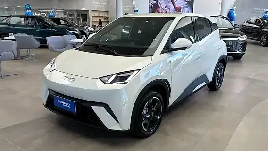 Foto de um byd dolphin mini