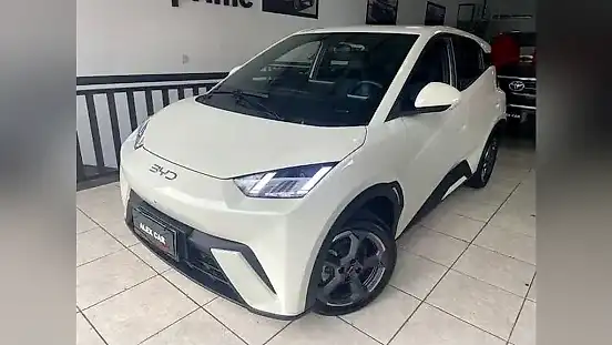 Foto de um byd dolphin