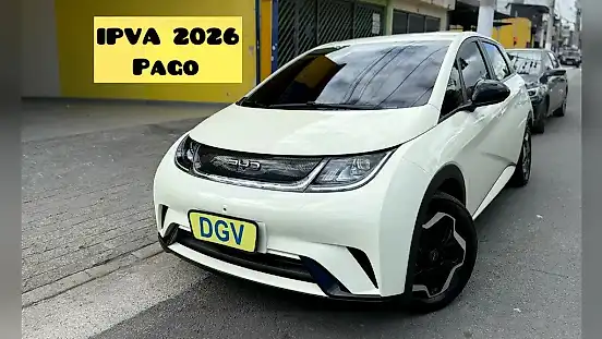 Foto de um byd dolphin