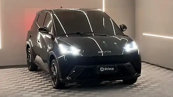 Foto de um byd dolphin mini