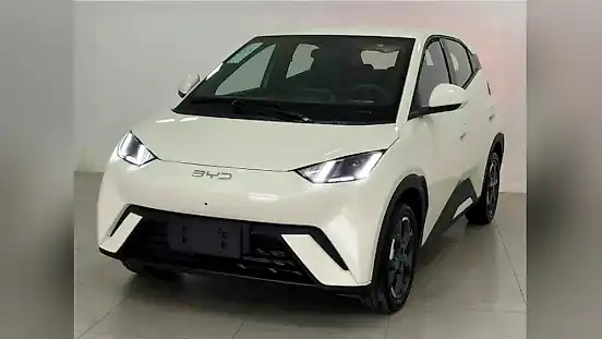 Foto de um byd dolphin mini