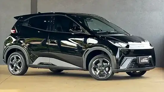 Foto de um byd dolphin mini