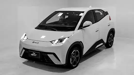 Foto de um byd dolphin mini