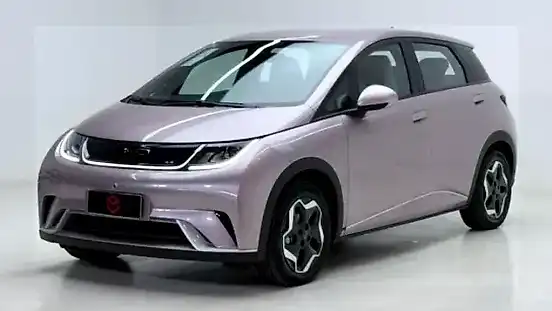 Foto de um byd dolphin