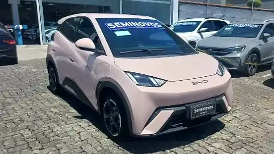 Foto de um byd dolphin mini