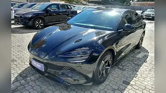 Foto de um byd seal