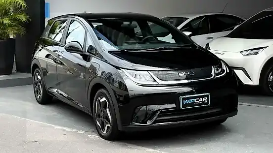 Foto de um byd dolphin